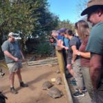 Screenshot 2025-03-04 at 15.07.47