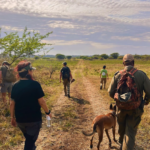 Screenshot 2025-03-04 at 15.08.43