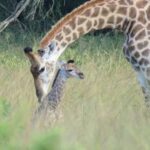 171852954_6125965630762978_4109983530190002137_n