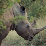 201981920_6456614227698115_8684986755253381356_n