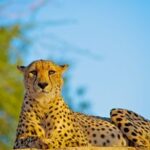 276097974_8023760840983438_3381903892709674539_n