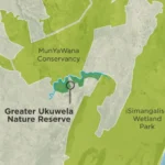 Safari South Africa 7