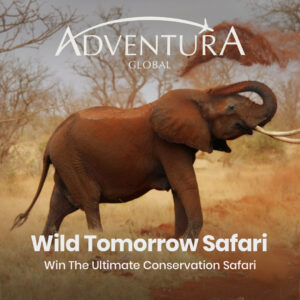 Stunning Conservation Safari for 2 in South Africa worth £10,000