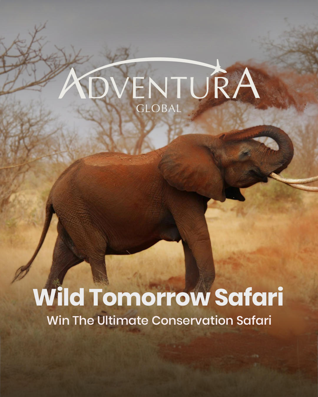 Stunning Conservation Safari for 2 in South Africa worth £10,000