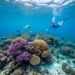 Florida Carribean Cruise 4