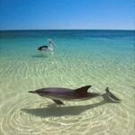 Sanibel Island, Florida