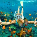 e83f46f7-adbf-4ee7-a6cb-4e73e89e742d-1-1