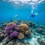 generated-image-2025-09-30-14