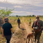 Conservation safari K9 3