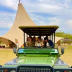 Conservation safari K9 5