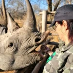 Conservation safari K9 7